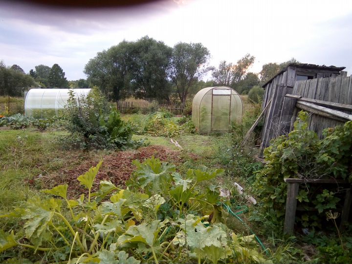 Участок 22 сот. (ИЖС)