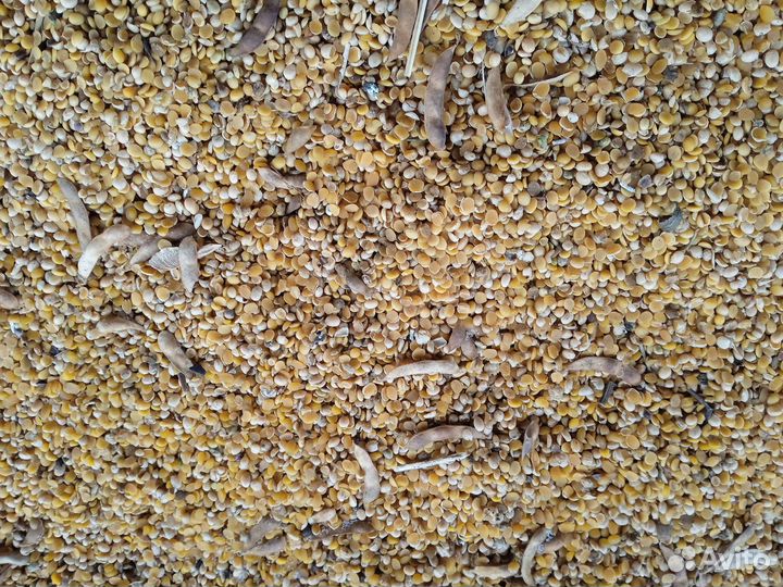 Товары для домашних животных