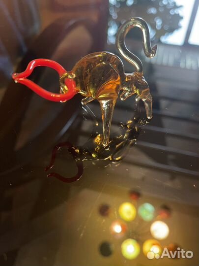 Бычок стеклянный