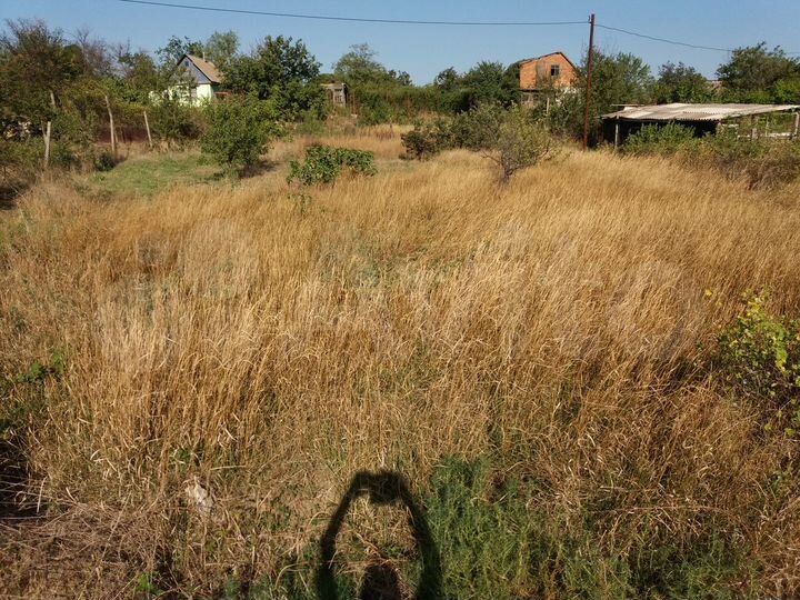 Участок 12 сот. (ИЖС)