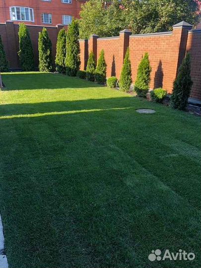 Укладка газона