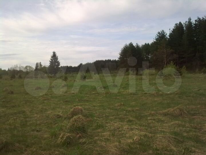 Участок 6 га (ИЖС)