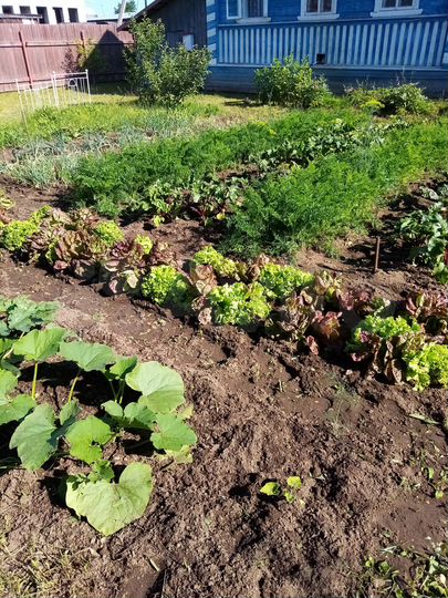 Дом 83 м² на участке 10 сот.