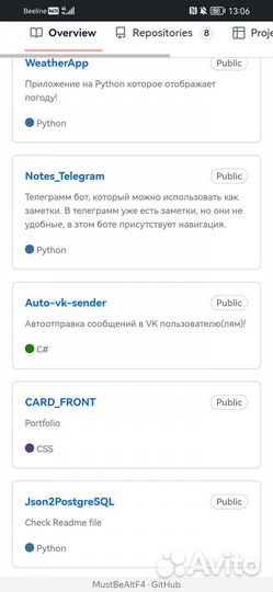 Программист на Python