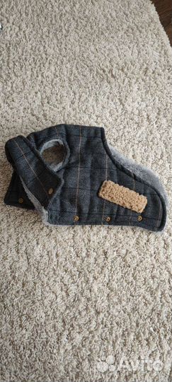 Одежда для маленьких пород собак