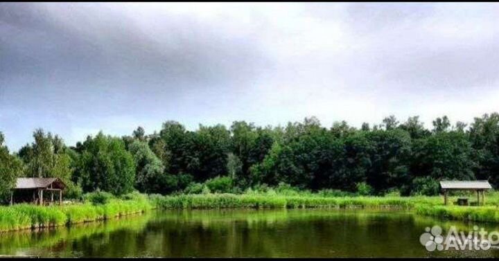 Беседка с мангалом/рыбалкой в аренду
