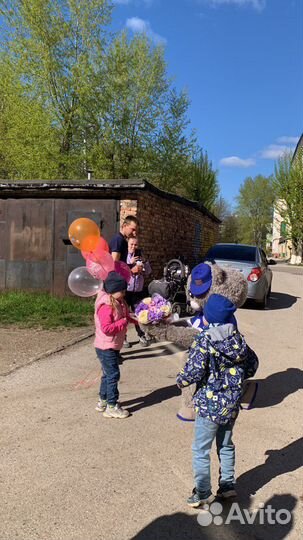 Поздравление от Мишки Тедди