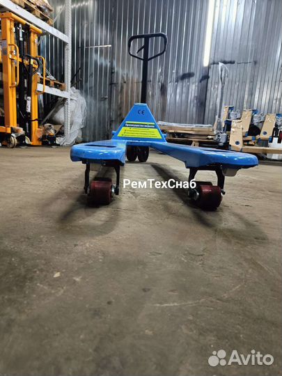 Рохля длинная