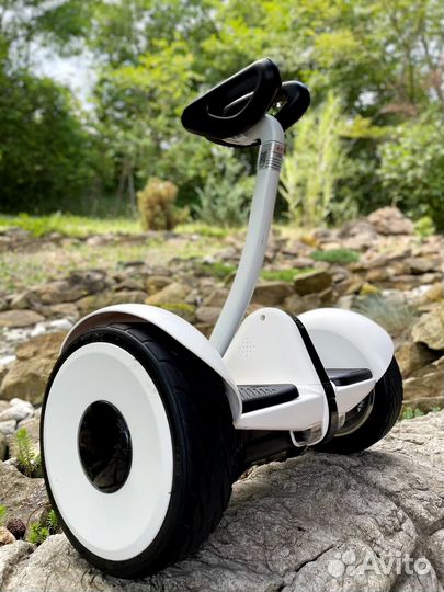 Гироскутер segway