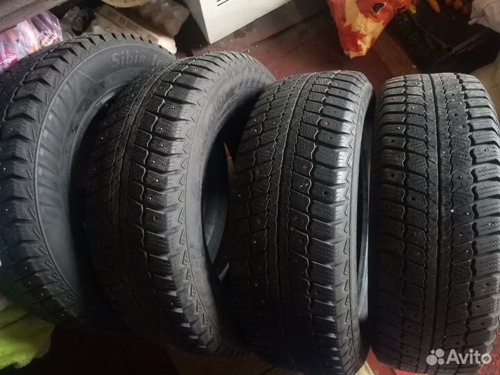 Matador MP 50 Sibir Ice 195/65 R15 19T