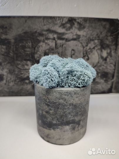 Бетонное кашпо
