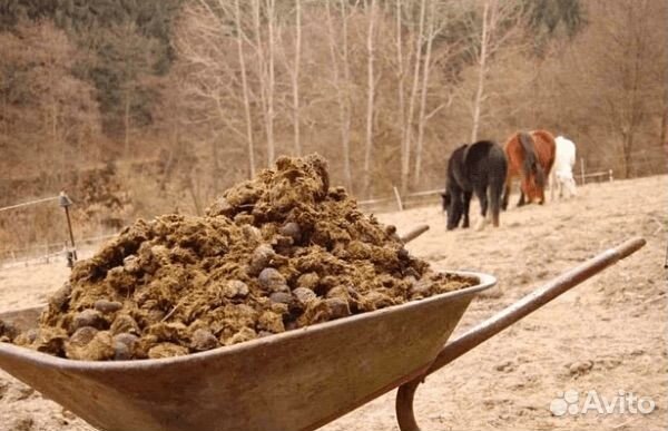 Конский навоз и перегной