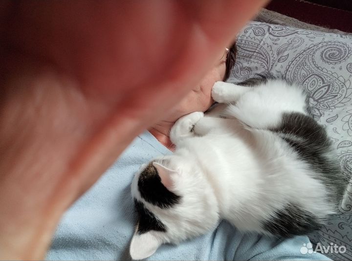 Котик Матвей