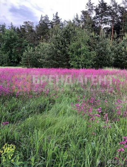 Участок 26 сот. (ИЖС)