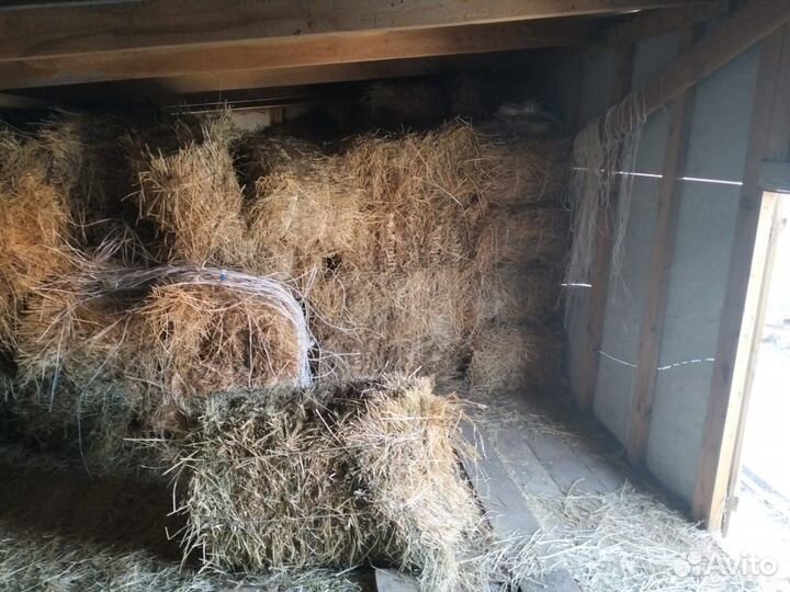 Сено в тюках