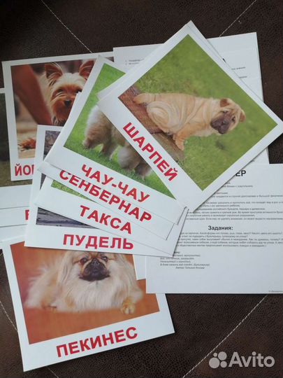 Развивающие карточки для детей