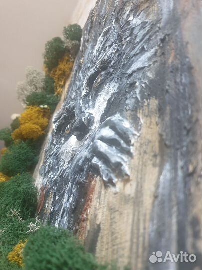 Картина Енот