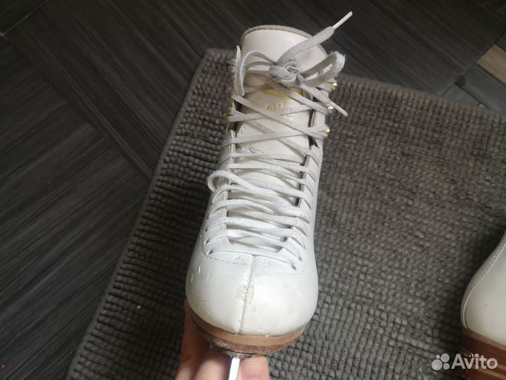 Коньки профессиональные Jackson elle 31