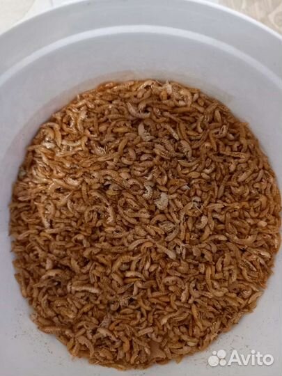 Корм для рыб, уголь для аквариума