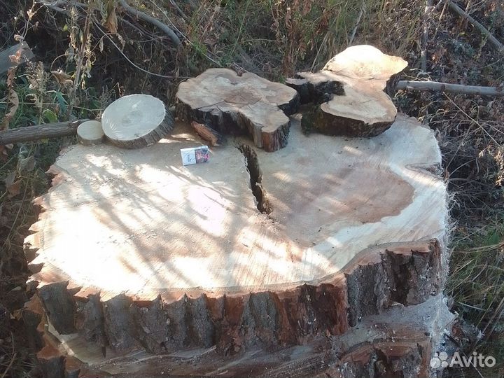 Срезы дерева