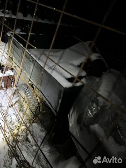 Мотороллер