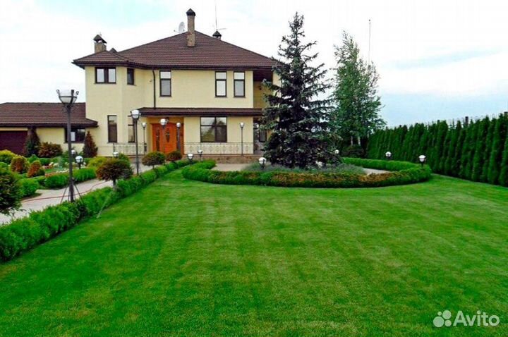 Газон рулонный с укладкой от производителя