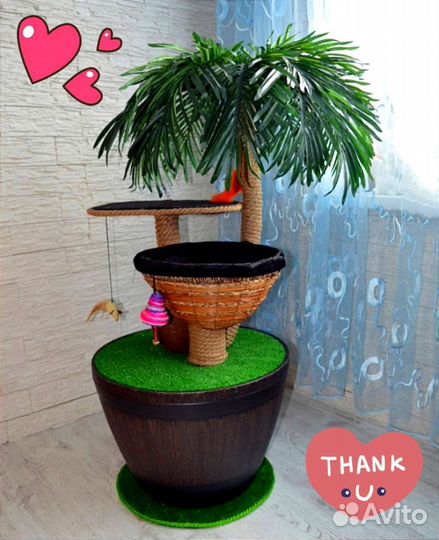 Пальма когтеточка