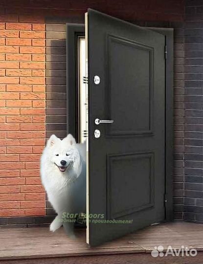 Дверь Термо