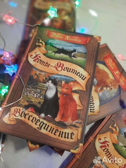 Книги коты воители, Начало, Бушующая Стихия, Выбор