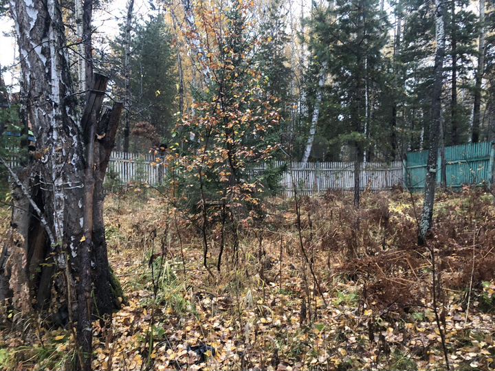 Дача 160 м² на участке 9,6 сот.