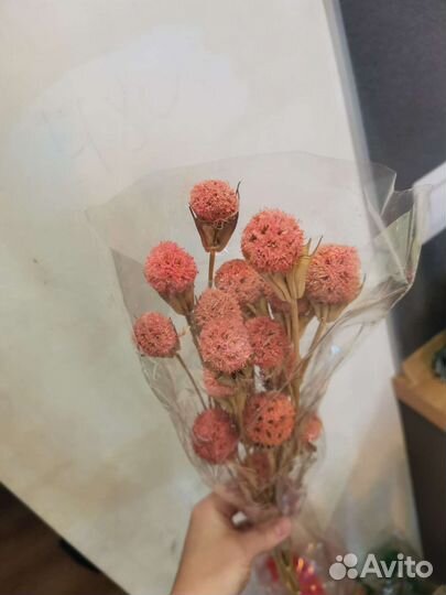 Сухоцветы. Стабилизированные бутоны роз