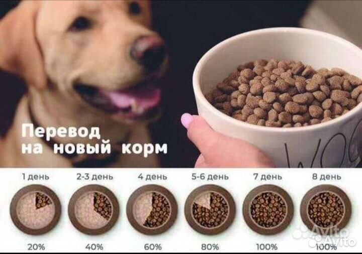 Гипоаллергенный корм для собак и кошек Acari Ciar