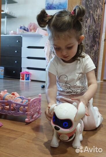 Интерактивная собака-робот