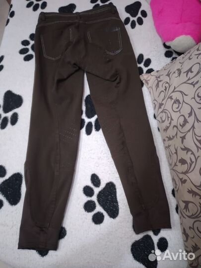 Бриджи для конного спорта