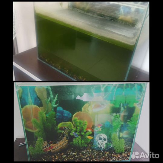 Обслуживание аквариумов