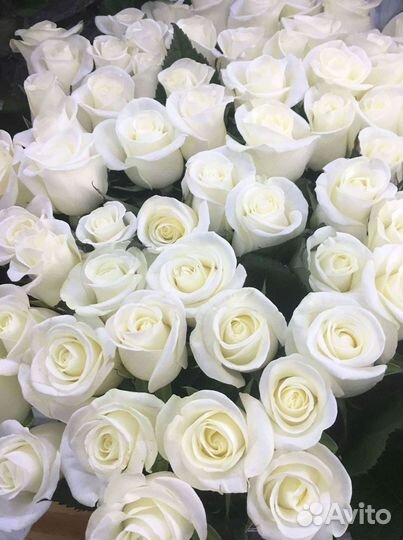 Высокие розы Букеты с доставкой