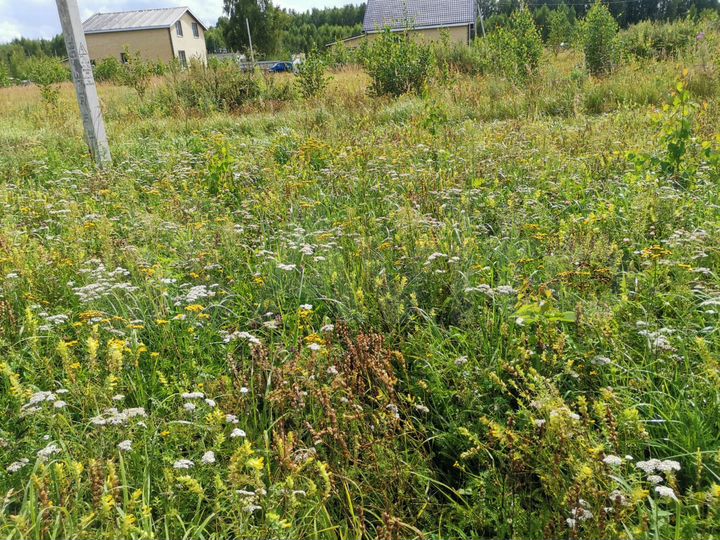 Участок 12 сот. (ИЖС)