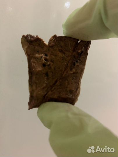 Говяжье легкое для собак