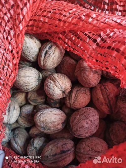 Грецкий орех