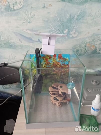Аквариум