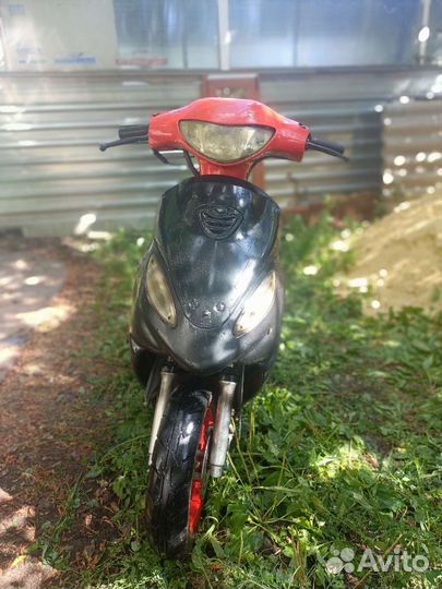 Irbis r50