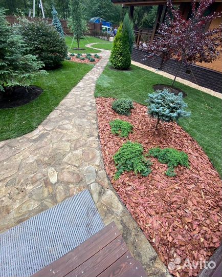 Рулонный газон / под ключ