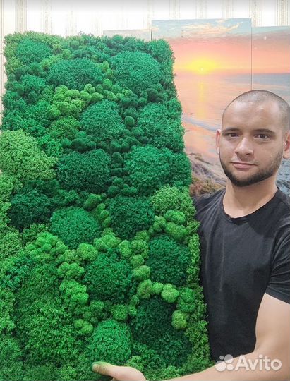 Вечно зеленый мох на подложке 25х50см