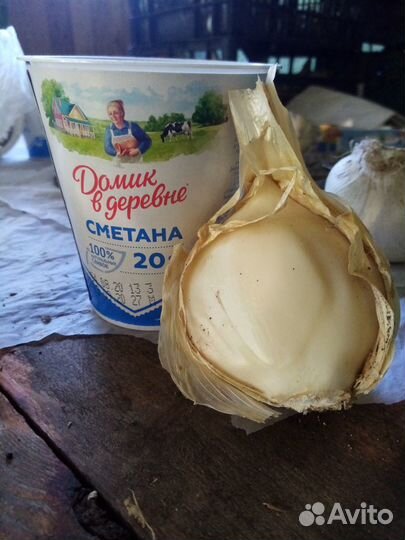 Лук Суворова