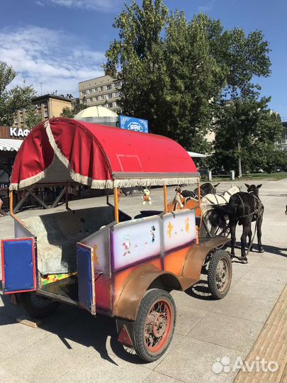 Фаэтон для пони и лошади