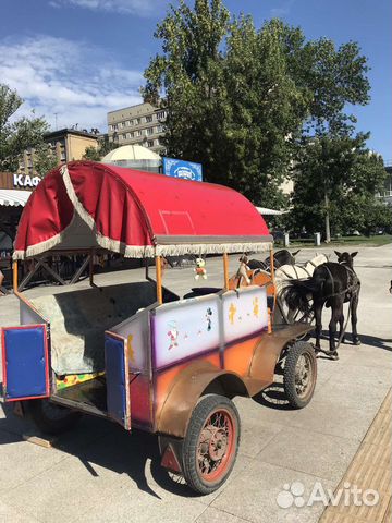Фаэтон для пони и лошади