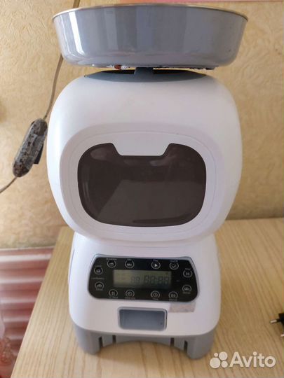 Автокормушка