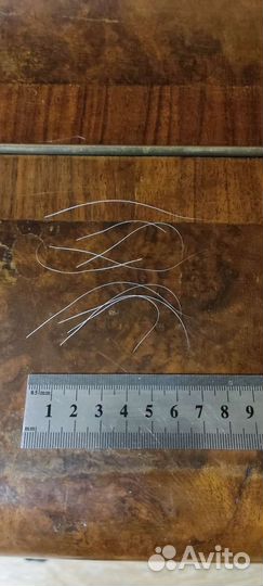 Кошачьи усы