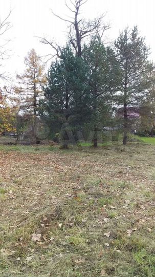 Участок 12 сот. (СНТ, ДНП)