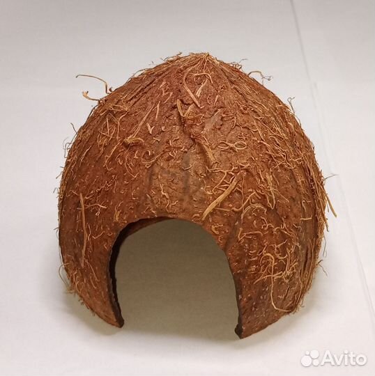 Грот из кокоса, дом для хомяка, домик для ахатин